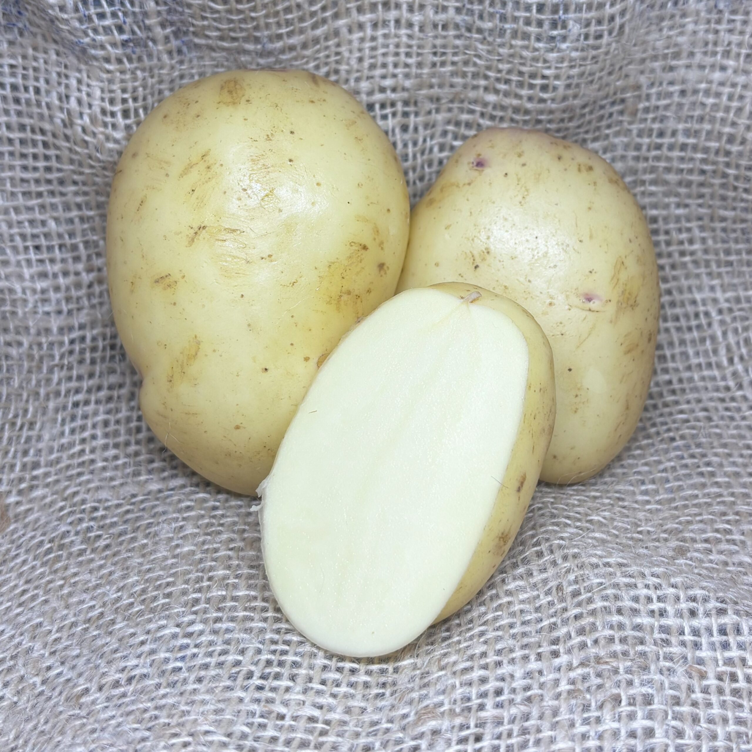 Processing Varieties